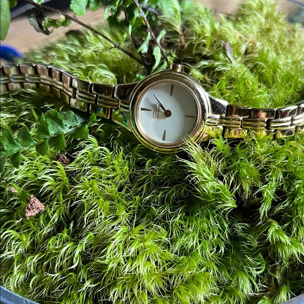 Classic Citizen eco-drive Gold-tone Watch with White Face